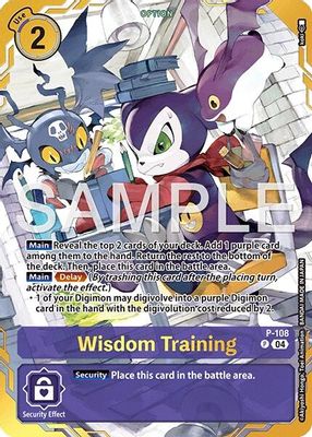 Wisdom Training