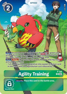 Agility Training