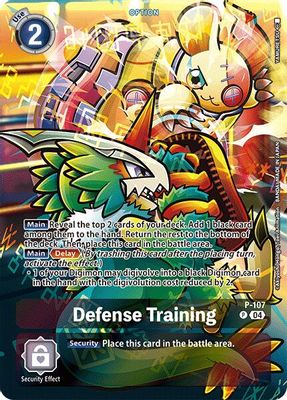 Defense Training
