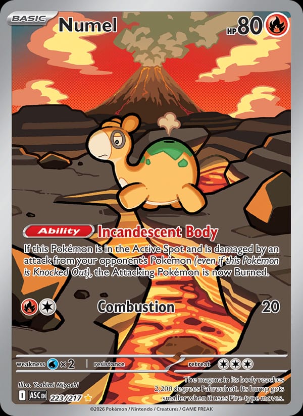Numel