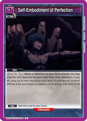 Self-Embodiment of Perfection card image