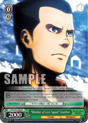 "Member of Levi Squad" Gunther