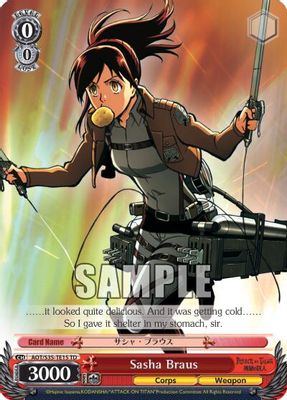 Sasha Braus card image