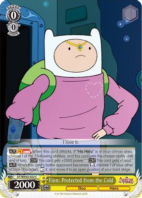 Finn: Protected from the Cold card image