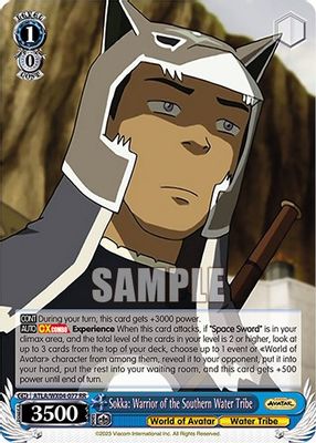 Sokka: Warrior of the Southern Water Tribe card image