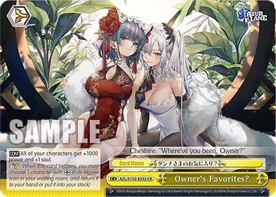 Owner's Favorites? card image