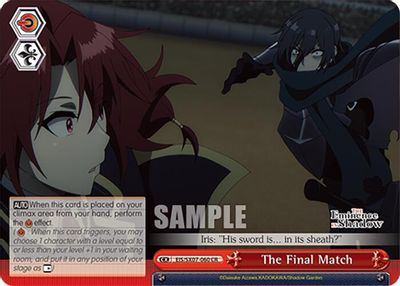 The Final Match card image