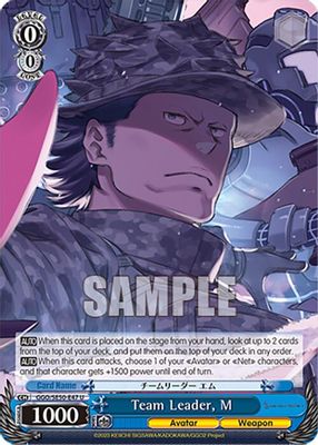 Team Leader, M card image