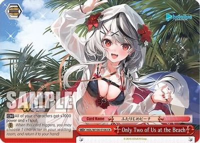 Only Two of Us at the Beach card image