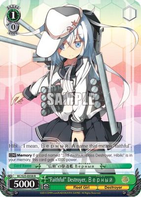 "Faithful" Destroyer, Верный