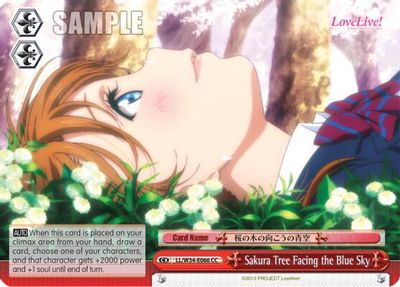 Sakura Tree Facing the Blue Sky card image