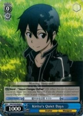 Kirito's Quiet Days card image