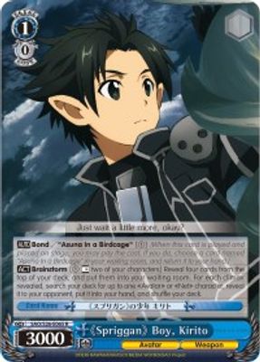 《Spriggan》 Boy, Kirito card image