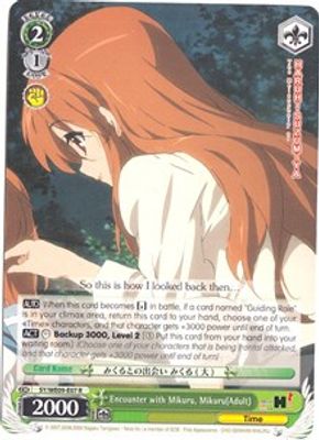 Encounter with Mikuru, Mikuru(Adult)
