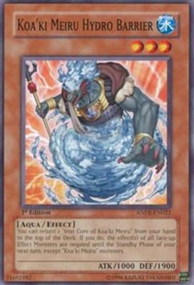 Koa'ki Meiru Hydro Barrier