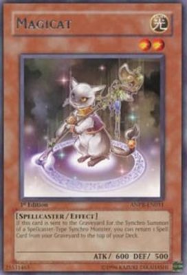 Magicat