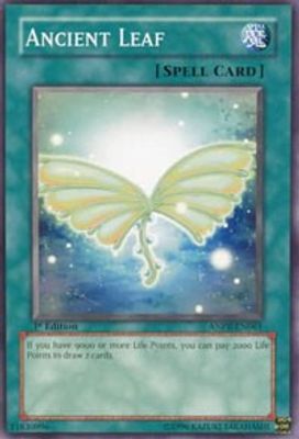 Ancient Leaf card image