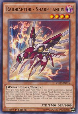 Raidraptor - Sharp Lanius
