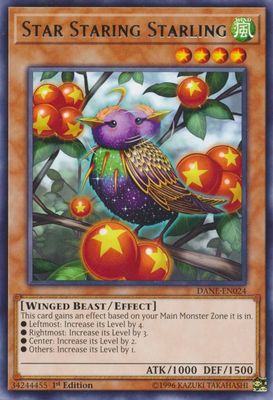 Star Staring Starling card image