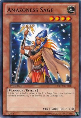 Amazoness Sage card image