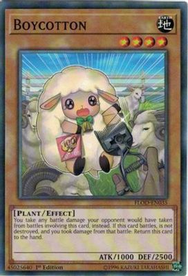 Boycotton card image