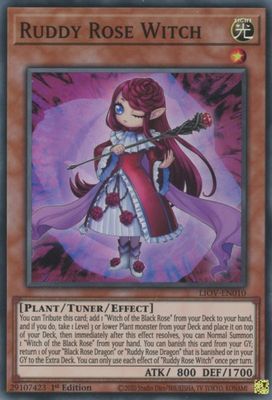 Ruddy Rose Witch