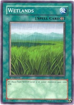 Wetlands