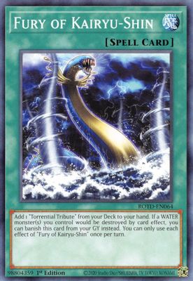 Fury of Kairyu-Shin card image